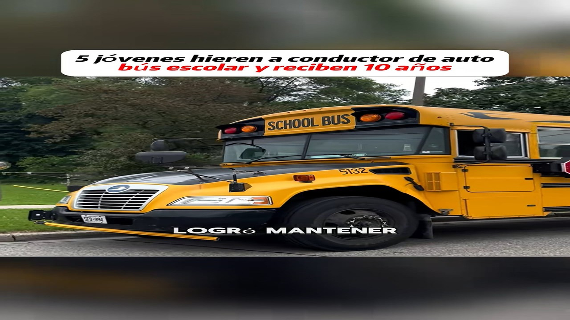 N0109044_5 jóvenes hieren a conductor de autobús escolar y reciben 10 años#new #tiktok #crime #court #fyp_part2